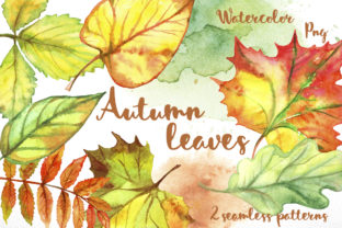 Autumn Leave Illustrations for Content