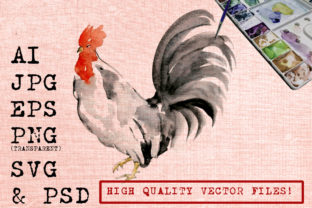 Black Tail Rooster Illustrations Review