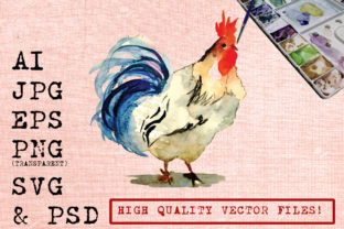 Blue Tail Rooster Illustrations Review