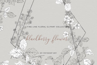 Hand Drawn Fine Line Clipart Blackberry Illustrations