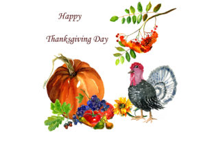 Happy Thanksgiving Day: A Designer's Real-World Review