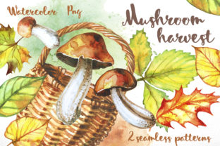 Mushroom Harvest: Organic Illustrations for Local Brands