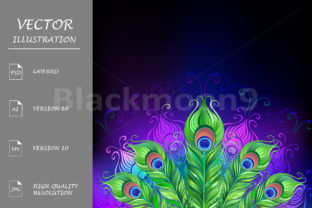 Peacock Tail Illustrations for Crafters