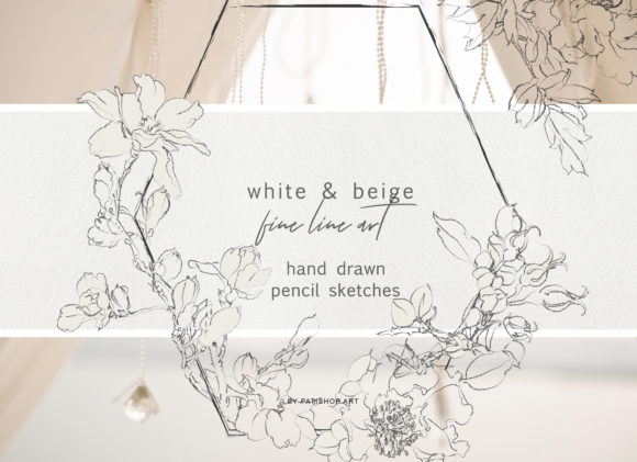 Pencil Sketched Fine Line Flowers & Illustrations
