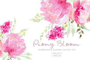 Pink Flowers Peony Illustrations Review
