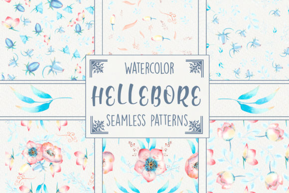 Pink Hellebore Patterns & Illustrations