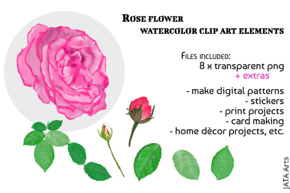 Pink Rose Clipart Bouquet Arrangements Illustrations