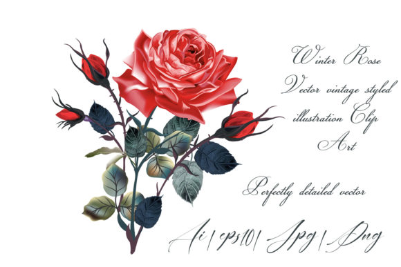 Red Rose Vector High Detailed Clip Art Review