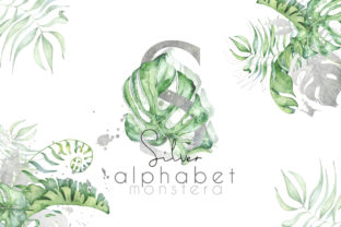 Silver Monstera Leaves: Tropical Illustrations